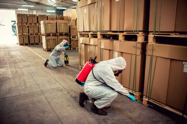 Best Residential Pest Control  in Lemoore Station, CA
