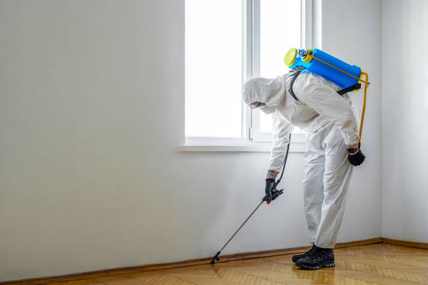 Best Pest Removal Services  in Lemoore Station, CA