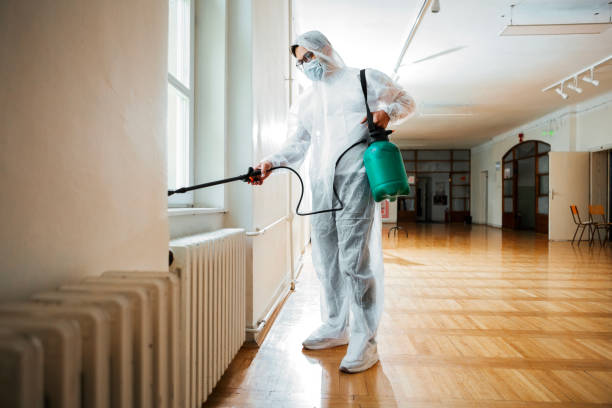 Best Termite Control Services  in Lemoore Station, CA